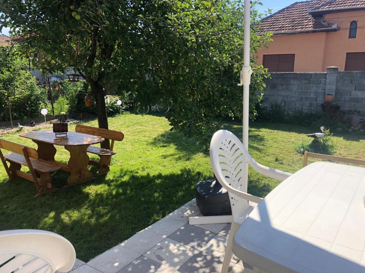Casa Barza Apartamento Orăştie Exterior foto
